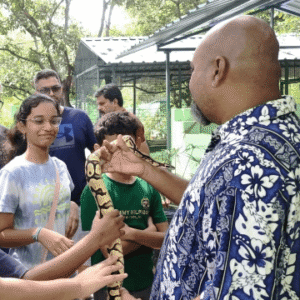 Families & Individuals