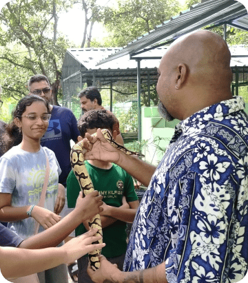 Families & Individuals